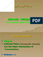 Lecture 18 Yersinia