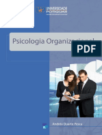 Psicologia Organizacional