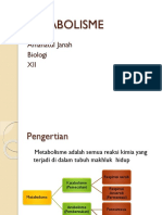 METABOLISME