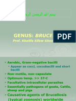 Genus: Brucella: Prof. Khalifa Sifaw Ghenghesh