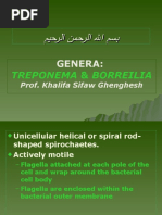 Download Lecture 27-Treponema and Borrelia by Khalifa Sifaw Ghenghesh SN53930832 doc pdf