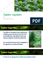 Unidad 2. Tema 2.1. Tipos de Tejido, Tejidos Vegetales