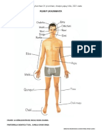 19 El Cuerpo Humano Completo