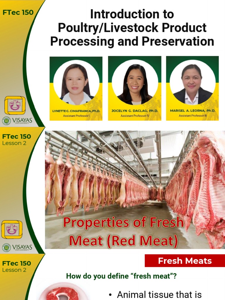 Understanding Meat Quality A Comprehensive Look at the Conversion of