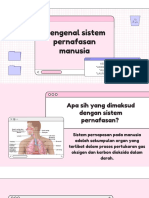 Sistem Pernafasan Manusia