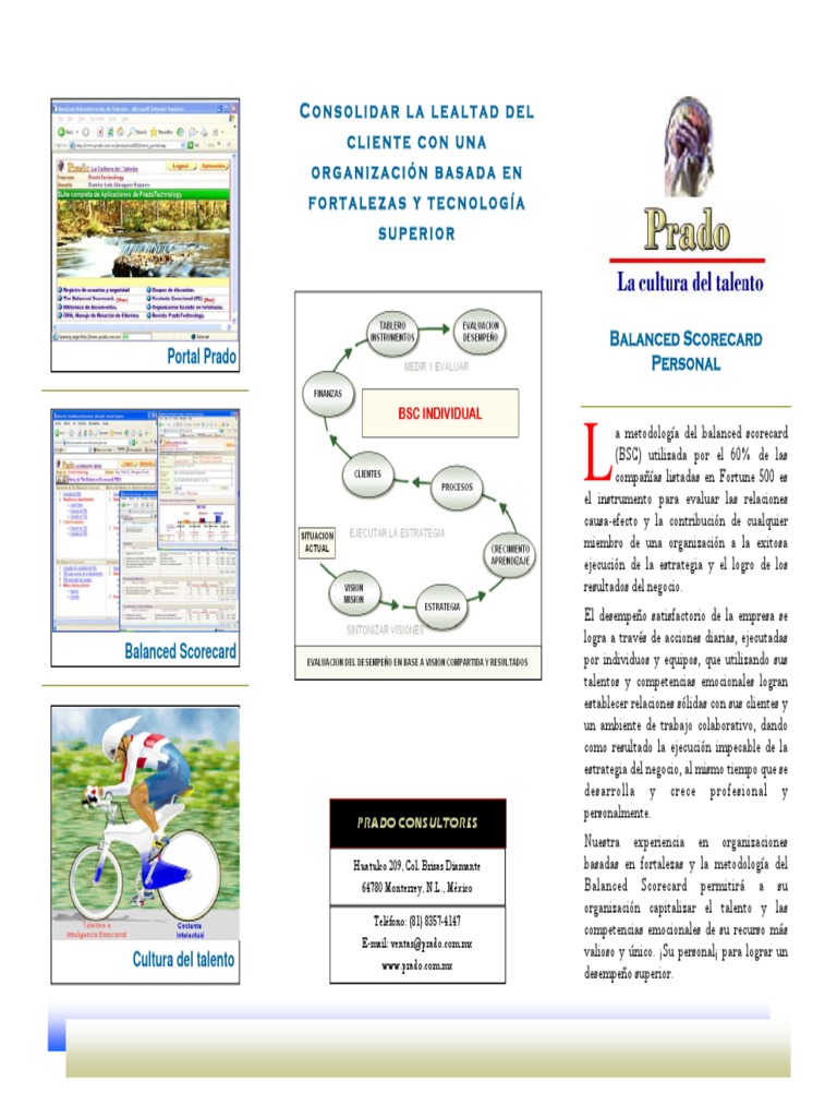 Implementación del Balanced Scorecard | PDF | Business | Cognición