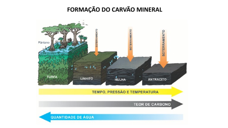 Carvão Mineral: Origem, Formação, Tipos E Usos Do Carvão – HTITLI