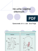 6 Ucho Węzły Chłonne