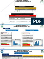 Enero - Indicadores Ambientales