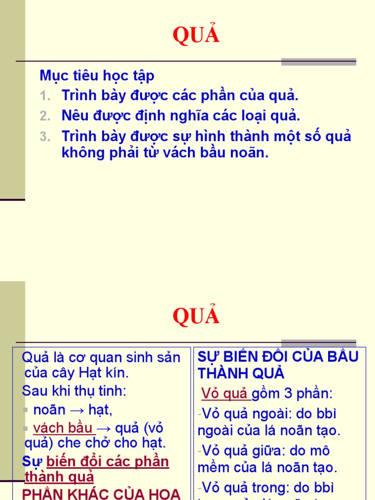 Qua 2020 | PDF