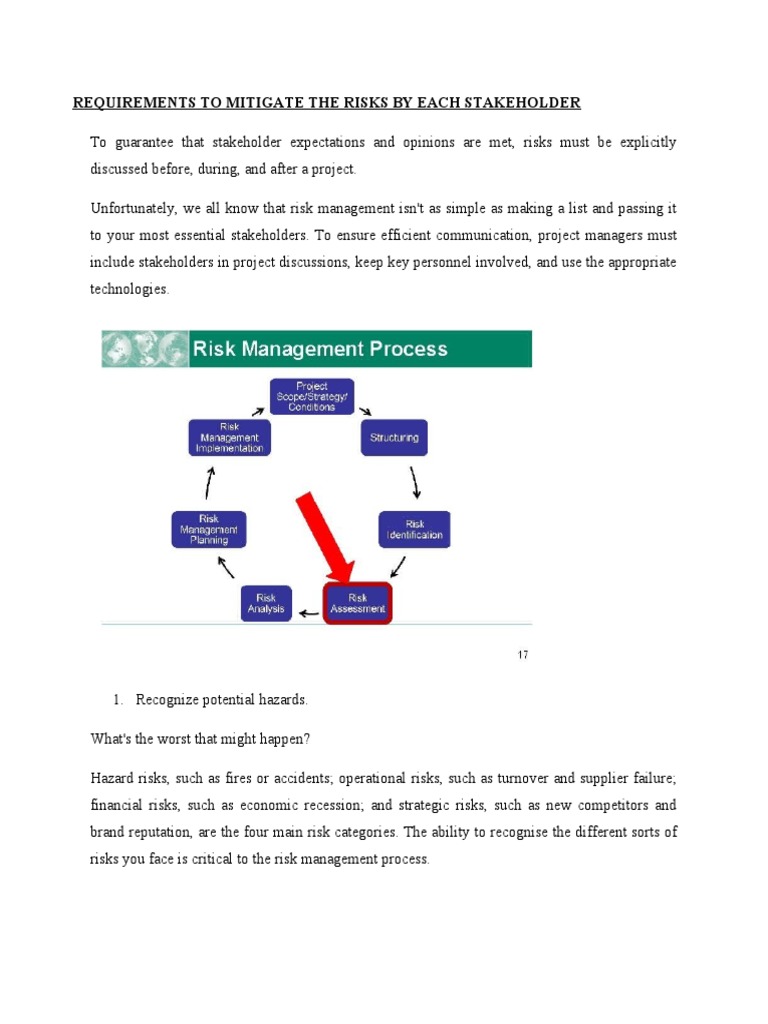 Stakeholder Risk Management Strategies | PDF | Risk | Risk Management