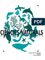 Naturales Apuntes Tema 1 (Geodinamica Externa)