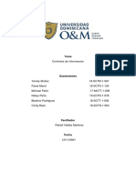 Tema v. Controles de Información