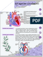 BIOLOGIA FISIOLOGIA DEL APARATO Circulatorio