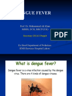 Dengue Fever: Clinical Course and Management