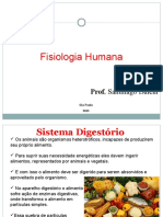 Aula Fisiologiahumana 130307133411 Phpapp02
