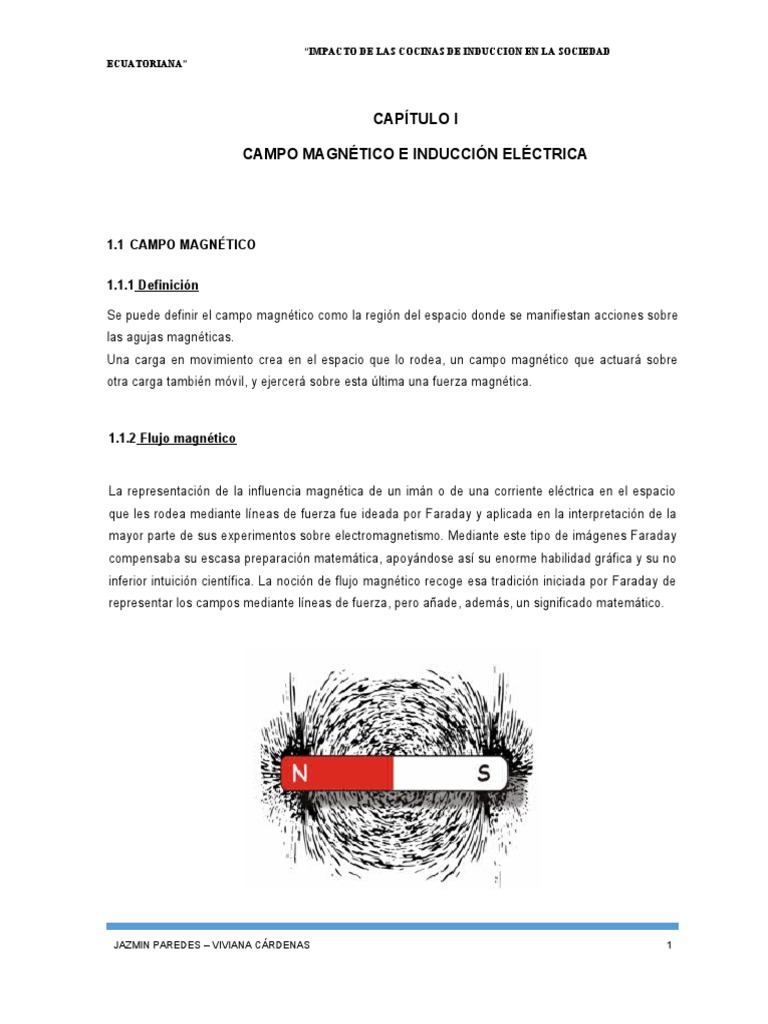 Campo Magnético e Inducción Eléctrica | PDF | Cocina | Ingenieria Eléctrica