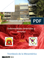 TMA-Enfermedades arteriales y venosas