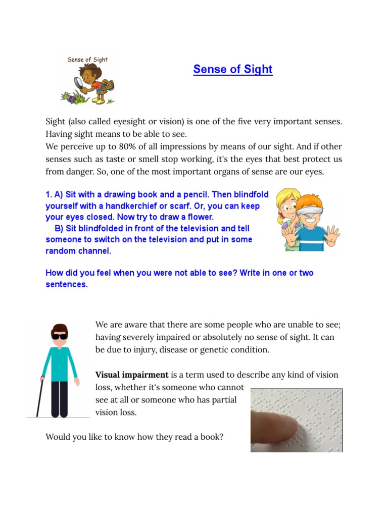 Sense of Sight Visual Impairment Is A Term Used To Describe Any Kind