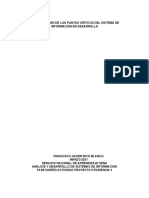 Identificación de Los Puntos Críticos Del Sistema de Información en Desarrollo