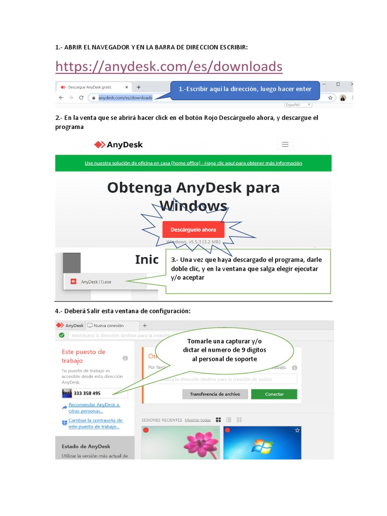 Anydesk PDF