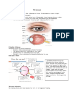 The Senses and Body Systems