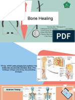 Bone Healing D2