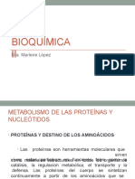 Bioquímica II Clases 8