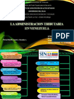 Mapa Conceptual Seniat