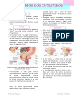 Distúrbios Dos Intetstinos