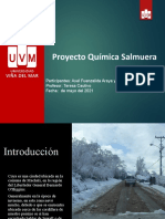 Proyecto Quimica Axel Fuenzalida y Gonzalo Donoso