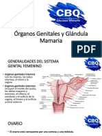 C393rganos Genitales y Glc3a1ndula Mamaria Uti