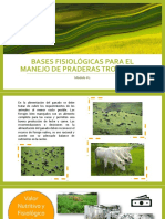 Bases Fisiológicas para El Manejo de Praderas Tropicales (1092)