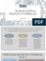 Introducción A Pastos y Forrajes