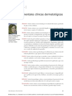 Dialnet LesionesElementalesClinicasDermatologicas 3991344