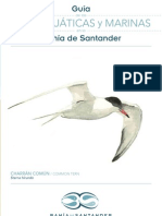 Guía de Aves acuáticas en la Bahía de Santander