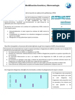 Tema 3.5. Ficha de Repaso