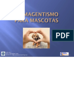 Biomagnetismo Para Mascotas