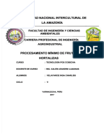 docdownloader.com-pdf-procesamiento-minimo-de-frutas-y-hortalizas-dd_ff880732073f88491b7820a2b9904c98