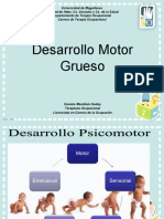 Desarrollo Motor Grueso