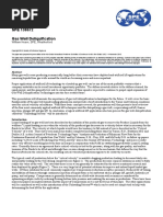 Gas Well Deliquification 2010