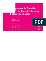 Esquemas de Derecho Civil de Chile III_nodrm