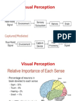 Elements of Visual Perception