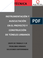 Aetos Wg 11 20 Auscultación de Túneles Borrador Jornada 17 de Junio