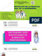 Grupo 04 - Protección de La Práctica Profesional de La Enfermería