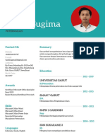 Curriculum Vitae 