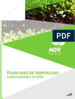 Plantineras 2018