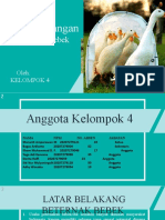 Revisi PPT Pengembangan Ternak Itik Atau Bebek