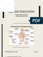 Anatomi Endokrin