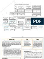 Patoflow Unstable Angina Pectoris